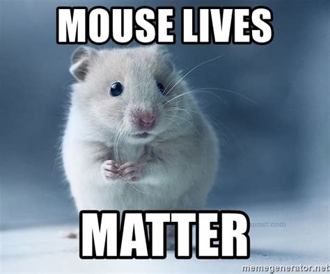 mouse meme